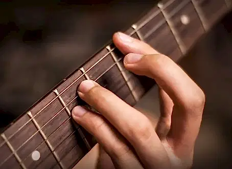 Akort nedir ve niçin önemlidir?