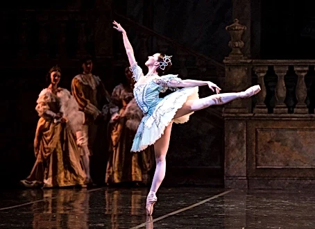 Bale İle Kariyer Olanakları