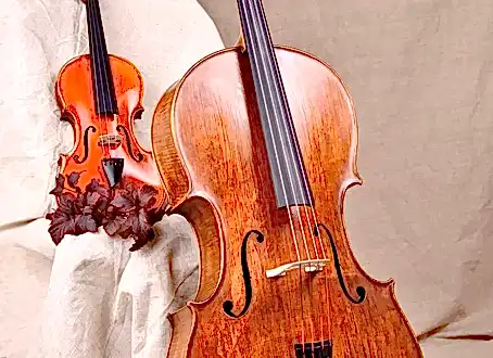 Çello ile Keman Arasındaki Farklar